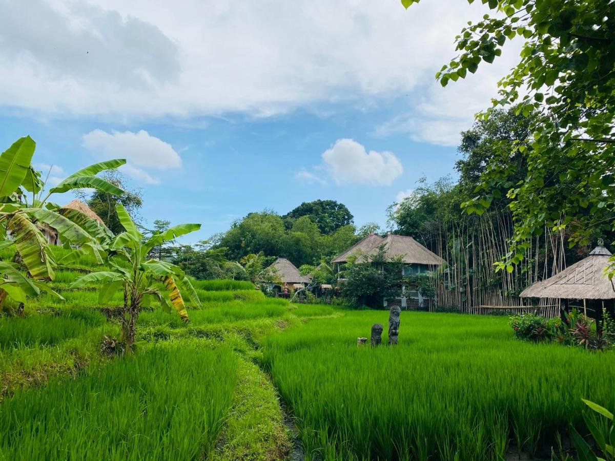 Kts Balinese Villas Canggu  Ngoại thất bức ảnh