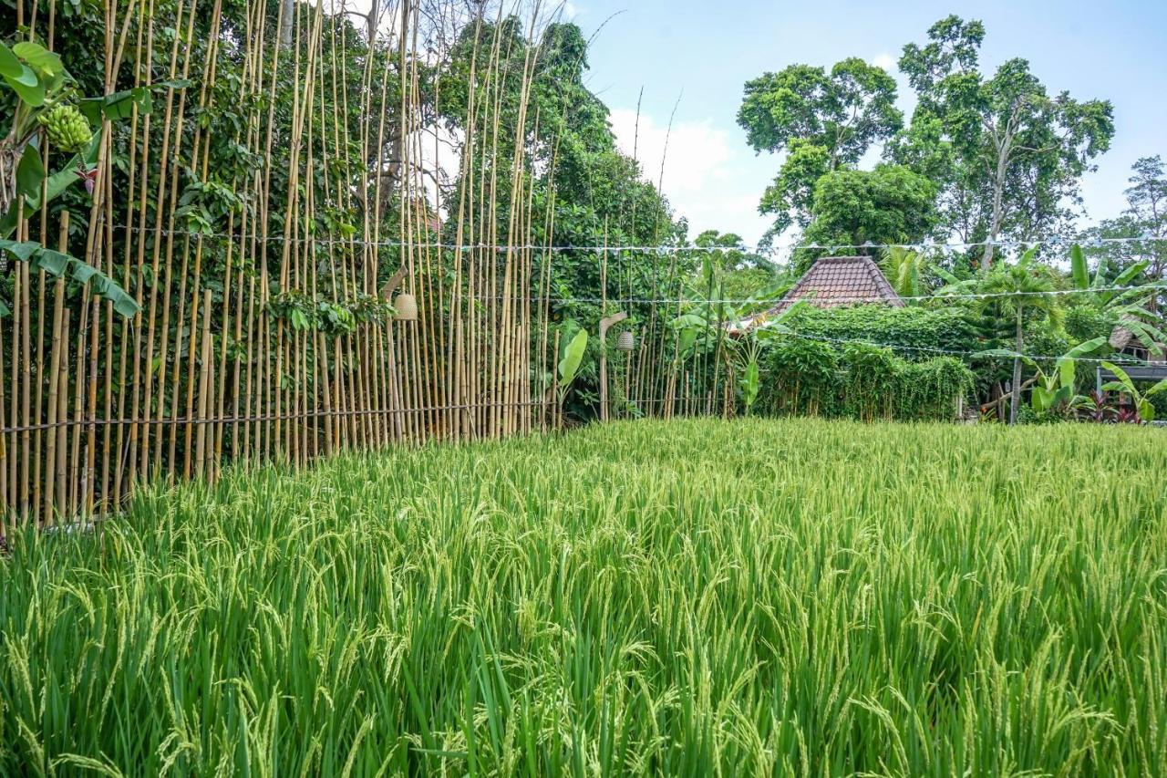 Kts Balinese Villas Canggu  Ngoại thất bức ảnh
